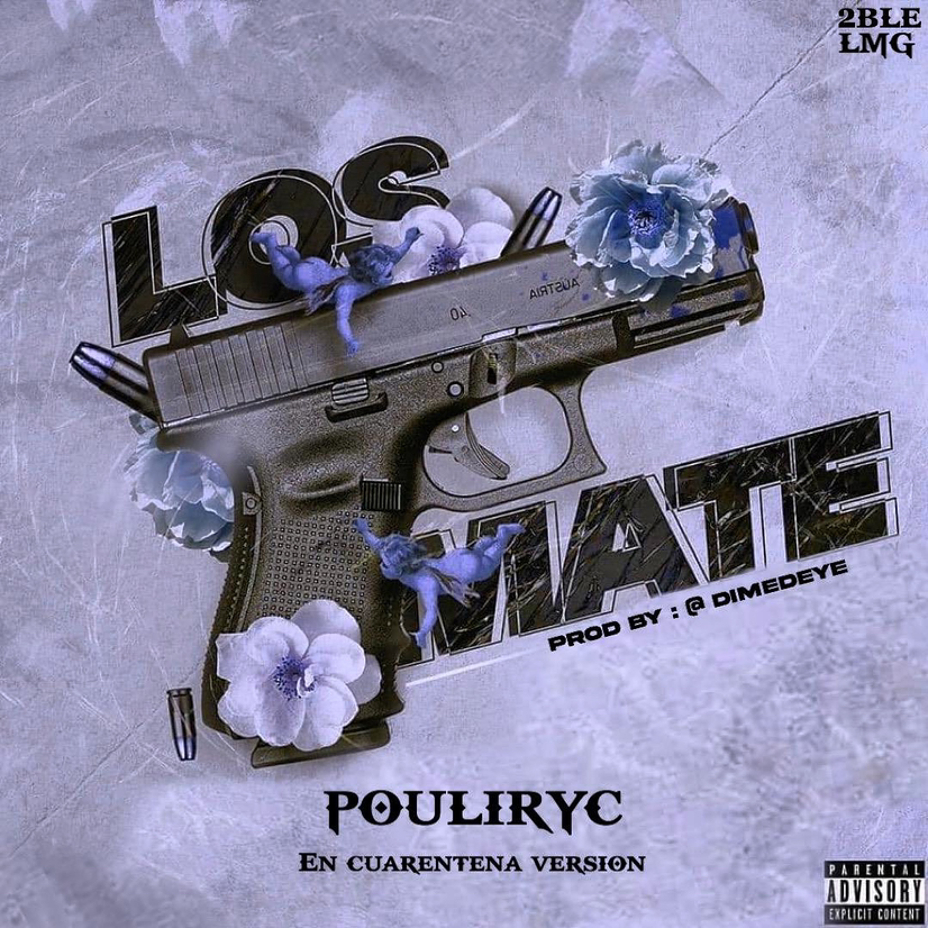 Pouliryc