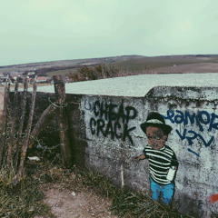 I sent you two big boats you dummy