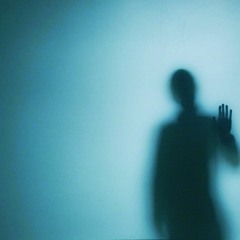 Chasing Shadows