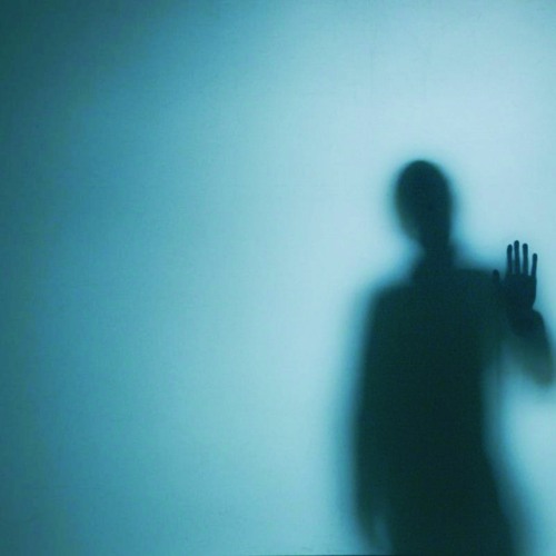 Chasing Shadows