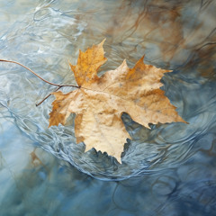 Give me a voice to see