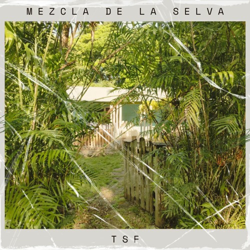 Mezcla de la Selva 2023