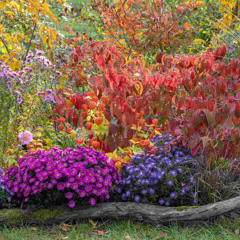 time after time- cyndi lauper piano cover