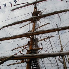 Brave Argonauts