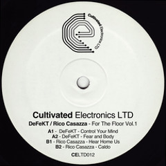 Premiere: Rico Casazza - Here Home Us [Cultivated Electronics]