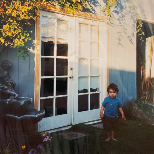 Metamorphosis of Form and Vector (2021 - 2025)