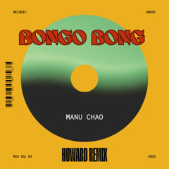 Bongo Bong - Manu Chao ( HOWARD Remix )