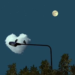 تلاوة من ما تيسر من سورة آل عمران من صلاة التراويح  15 رمضان 1445- للقارئ عبدالله بدر 💙