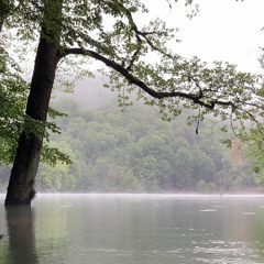 Rainy night - Dreamy Lake