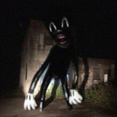 Cartoon cat theme song
