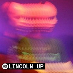 Lincoln Up | Fault Radio DJ Set in Portland (January 14, 2021)