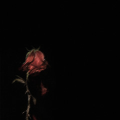 Dakuu - J'AI PRIS LA HAINE ET LA TRISTESSE AVEC