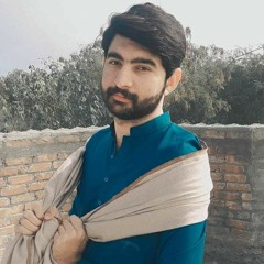 Asi Mare Sarkar Tusi Changy Ho 🔥