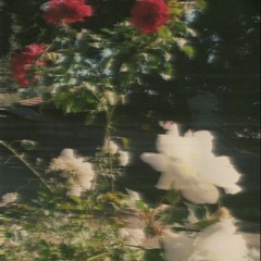 wonderwall (except it's a boring version)