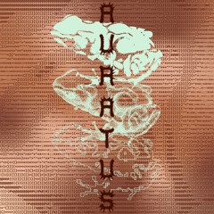 Auratus (Free DL)