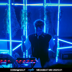 MegaBeat mix 2025-01