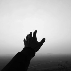 8800 - Don't Let Me Go