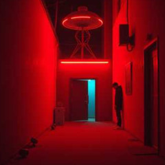 Госпожа паранойя