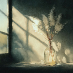 Rise