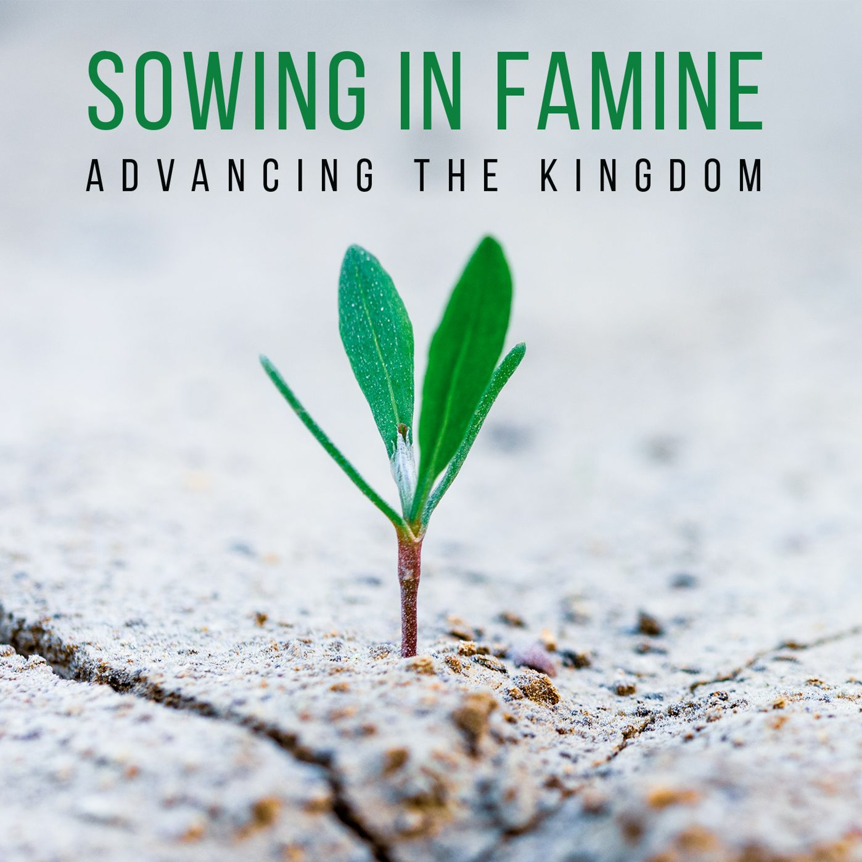 Sowing in Famine - Advancing the Kingdom episode artwork