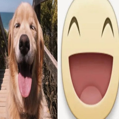 #pickuppp