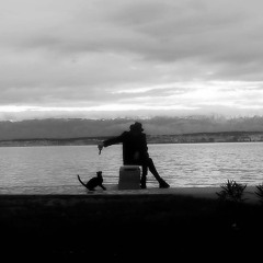 ROZI NULE - NOVA ŠORTA LJUBAVI