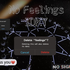 IDKY - No Feelings