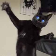 treat my self wav.wav