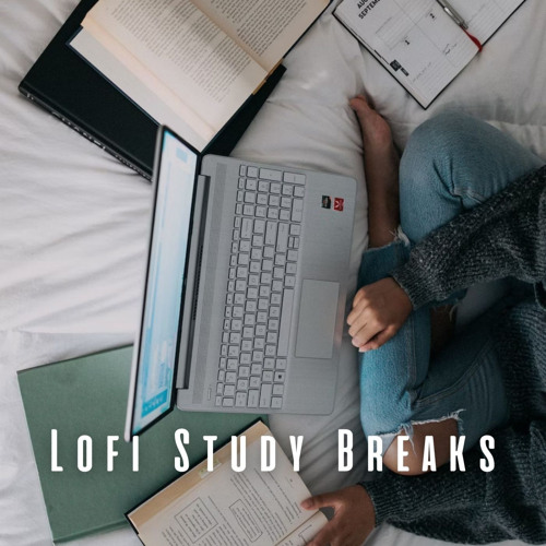 Stream Lofi Study Loop by Lofi Sleep Chill & Study | Listen online for ...