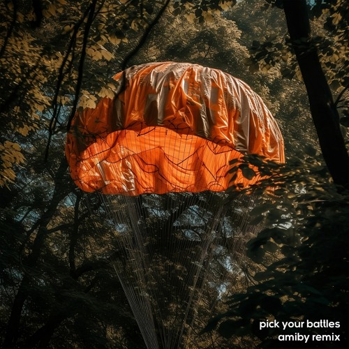 Petit Biscuit - Pick Your Battles with Diplo (Amiby Remix)