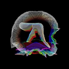 Selected Live Works 2016 - 2019