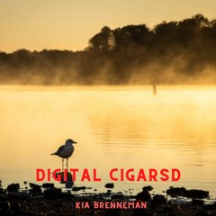 Digital Cigarsd