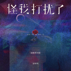 怪我打扰了 (遗憾男生版伴奏)