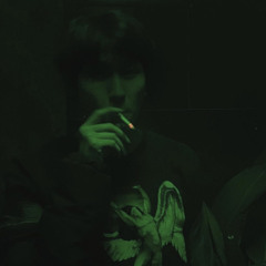 Sash-LS.ft panchi