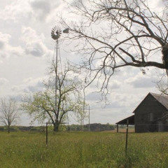 waco, texas- ethel cain (5hr loop)