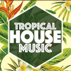 Tropical House Mix 🌴