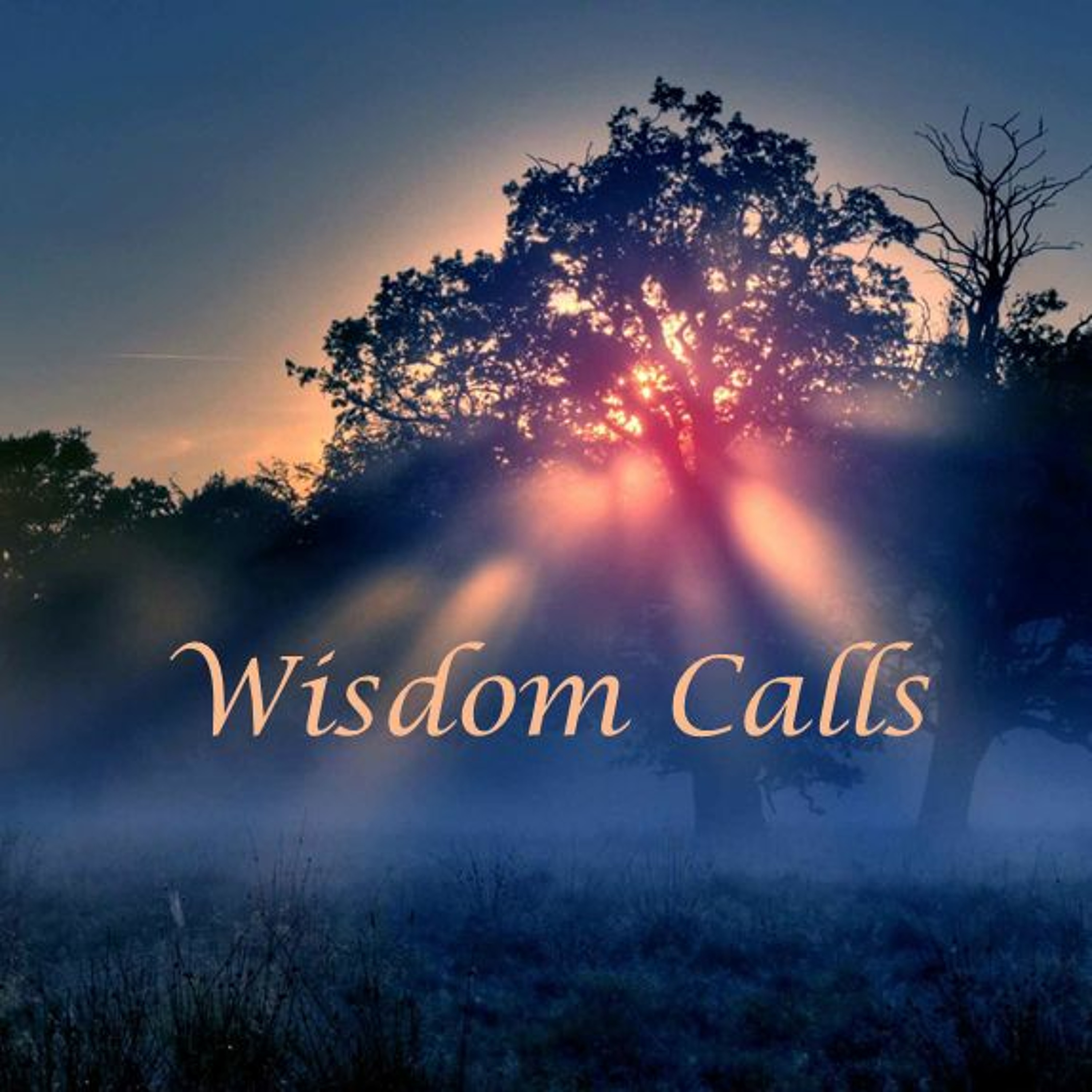 UCC Longmont Sermons