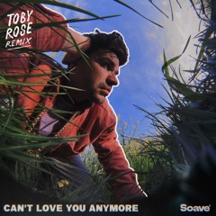 Henry And The Waiter - Can't Love You Anymore (Toby Rose Remix)