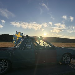 Porriga Brudar-2 pjäser