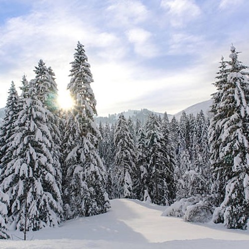 Kindness Like Snow 25