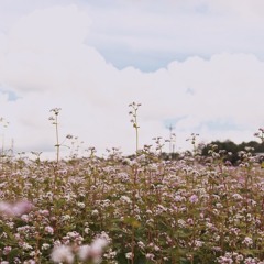 cavetown- idea of her ( slowed / reverb )