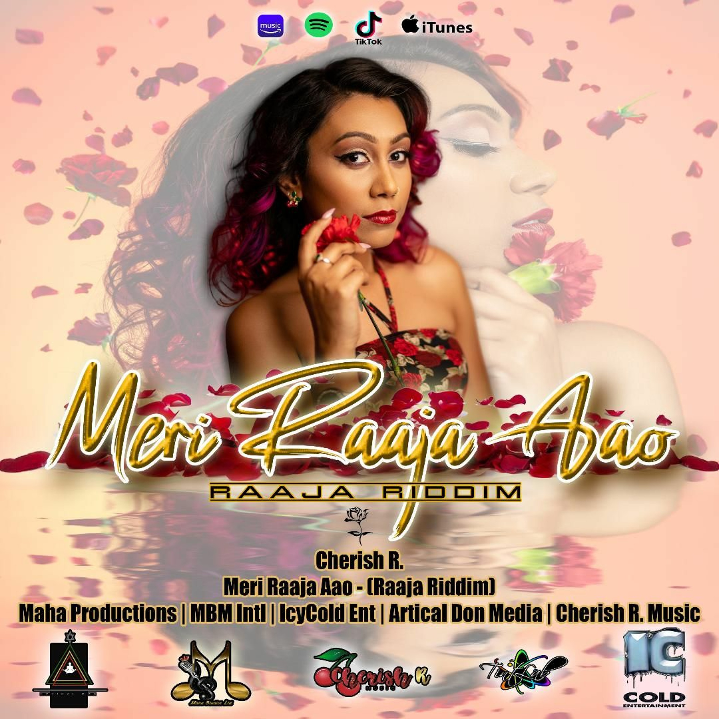 Tropic Flava Podcast