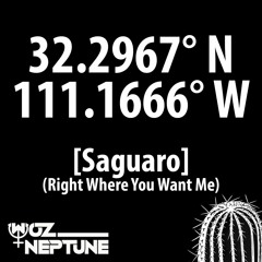 Saguaro (Right Where You Want Me)