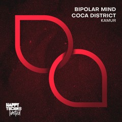 Bipolar Mind, Coca District - Petra