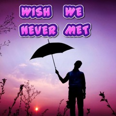 Wish We Never Met