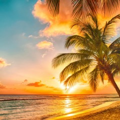 Caribbean/Moombahton Freshers Week 2020 Mix