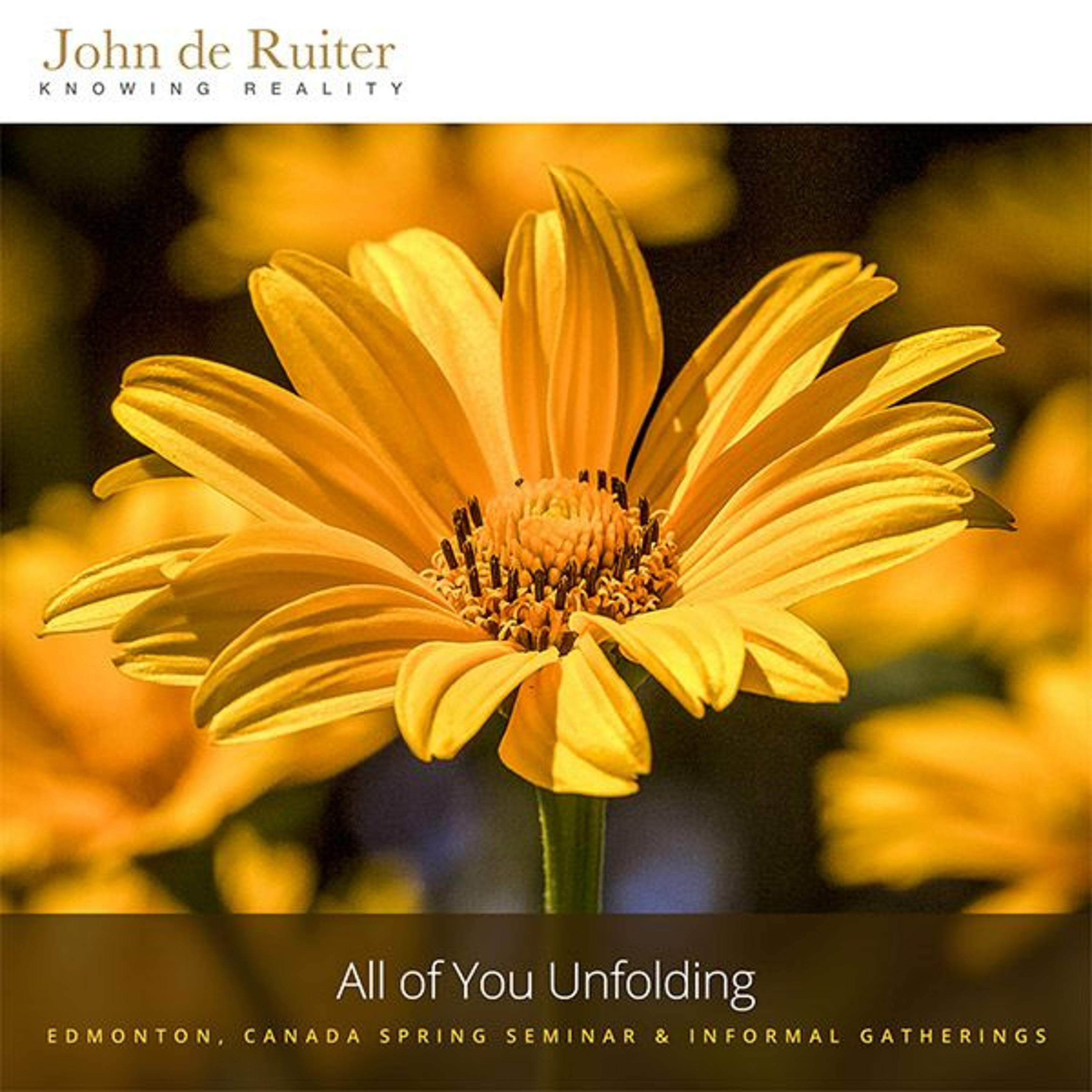 265 - All of You Unfolding - 2 of 7 episode artwork