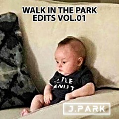 Kid Cudi - Make Her Say (J. Park Edit)