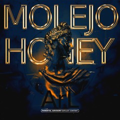 ArL - Molejo & Honey 🐝 ( Prod.ArL )