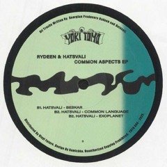 Premiere: B2 - Hatsvali - Common Language [YOTO004]
